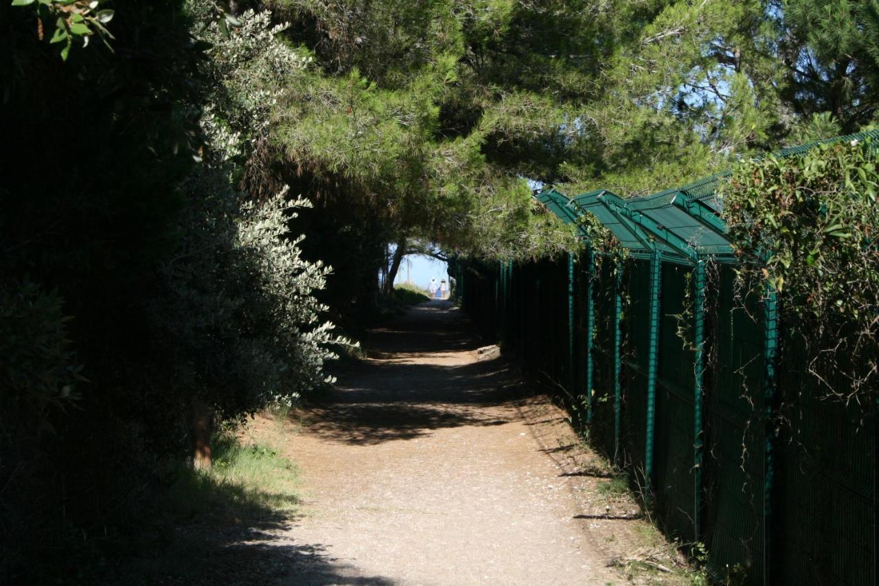 Apartment O Salins Hyeres