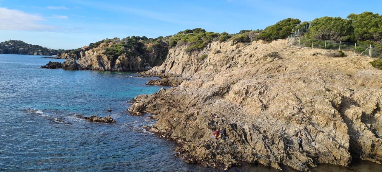 O Salins * Hyeres